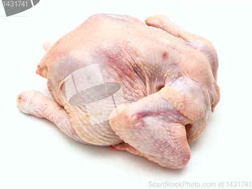 Image of Carcass of the whole chicken