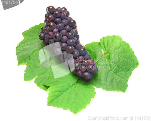 Image of Blue grape with green leaf, isolated on white background