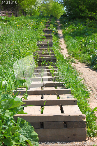 Image of The wooden ladder is located a hill slope