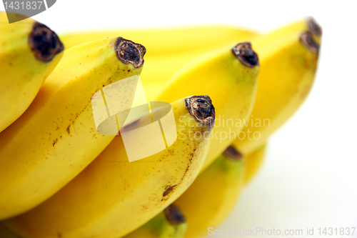 Image of Bunch of bananas isolated on white background