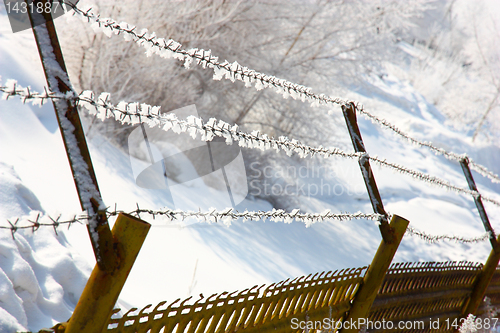 Image of Barbed wire in hoarfrost 