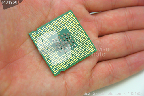 Image of Processor in hand