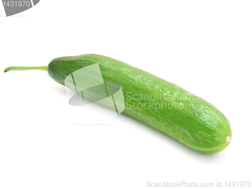 Image of The fresh green cucumber 