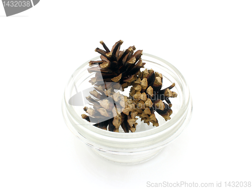 Image of Pine cones 