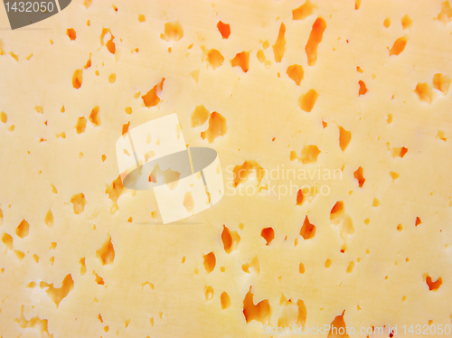 Image of piece of cheese 