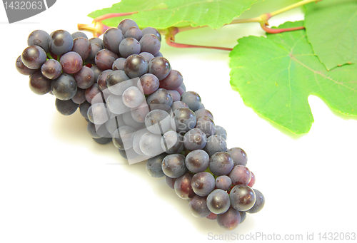 Image of Blue grape with green leaf, isolated on white background