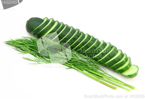 Image of a cucumber with the cut half lying on a dill