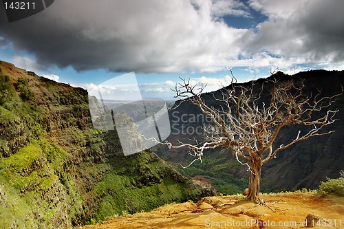 Image of Summer Landscape at Waimea Canyon