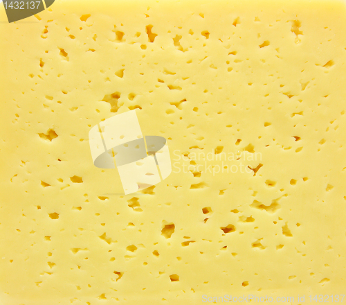 Image of Background of fresh yellow Swiss cheese with holes