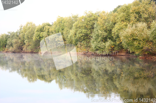 Image of blue lake with colorful wood 