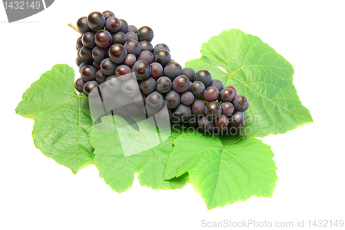Image of Blue grape with green leaf, isolated on white background