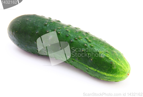 Image of Fresh green Cucumber on a white background