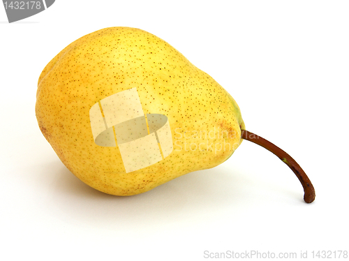 Image of A single pear 