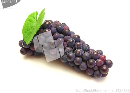 Image of Blue grape with green leaf, isolated on white background