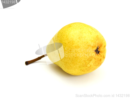 Image of A single pear 