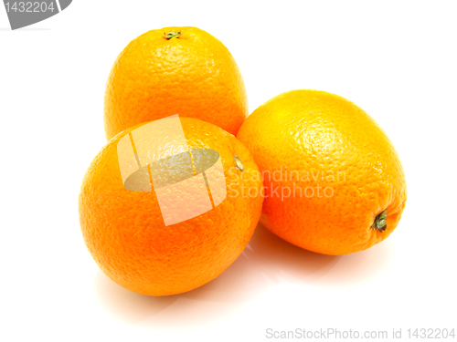 Image of Three ripe oranges lie nearby on a white background