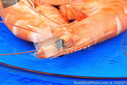 Image of Boiled shrimps close-up