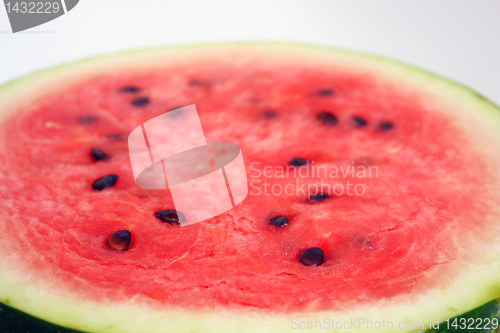 Image of Watermelon with dry stem