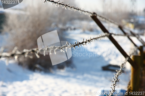 Image of Metal barbed wire 