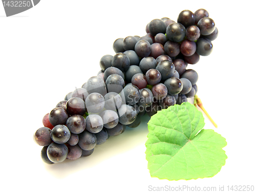 Image of Blue grape with green leaf, isolated on white background