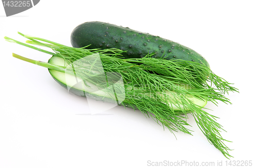 Image of a cucumber with the cut half lying on a dill