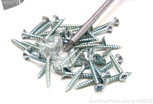 Image of Screwdriver and small metal screws on a white background