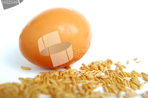 Image of Egg and wheat grain