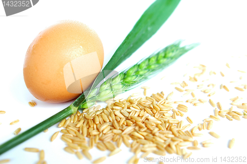 Image of Egg and wheat