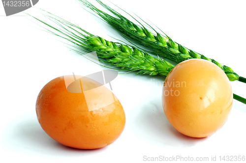 Image of Egg and wheat