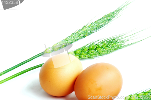 Image of Egg and wheat