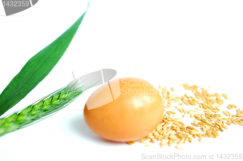 Image of Egg and wheat