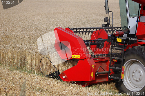 Image of Harvesting