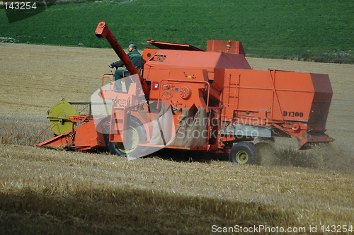 Image of Harvesting