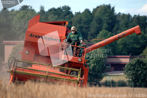 Image of Harvesting