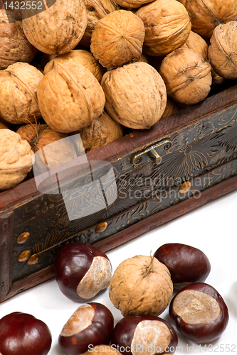 Image of chest with walnuts 