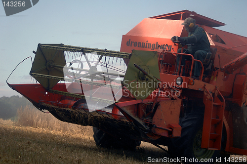 Image of Harvesting