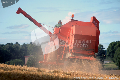 Image of Harvesting