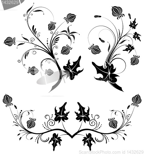 Image of Collect flower background