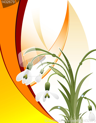 Image of Wave pattern with snowdrop