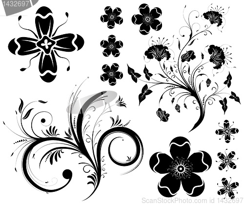 Image of Collect flower background