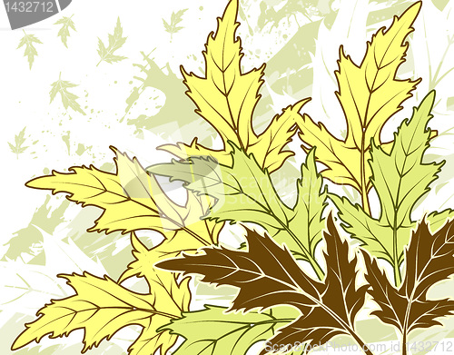 Image of Grunge leaf background