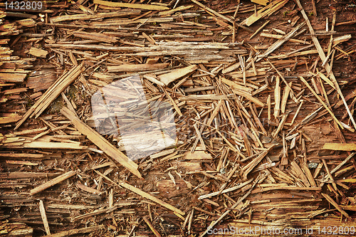 Image of Rotten chips - natural background