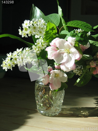 Image of spring blossoms