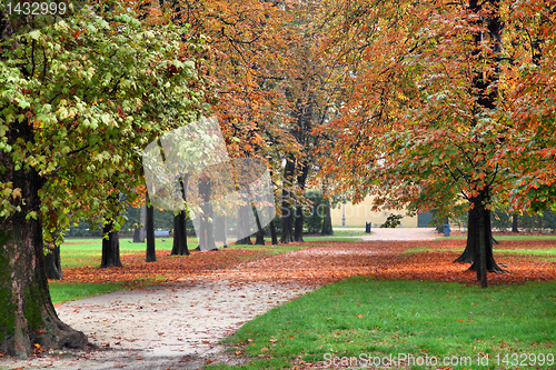 Image of Autumn
