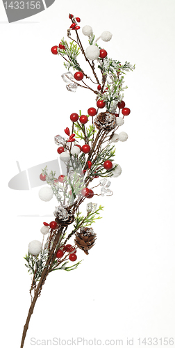 Image of Winter decoration