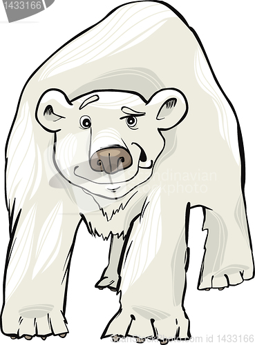 Image of polar bear