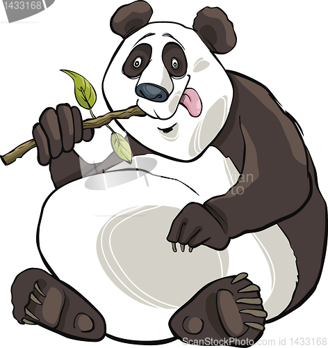 Image of panda bear