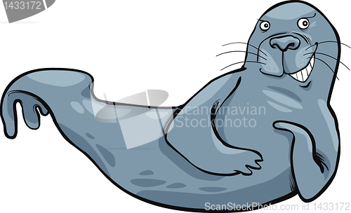 Image of funny seal