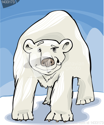 Image of polar bear