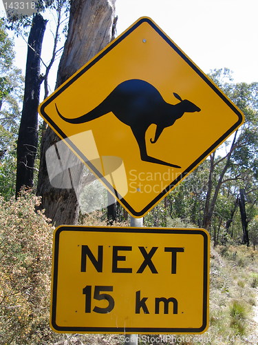 Image of Kangaroo road sign